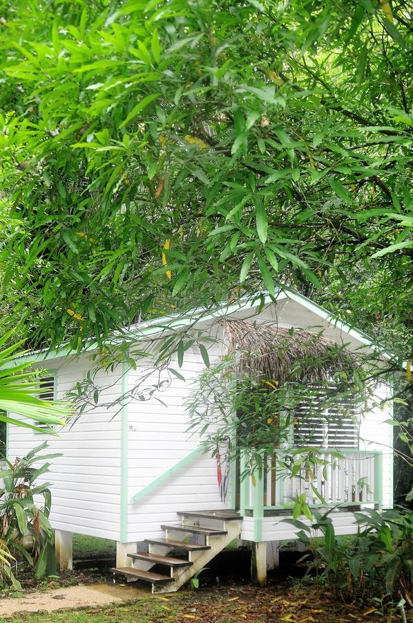 Hickatee Cottages, Belize, Central America Punta Gorda Exterior photo