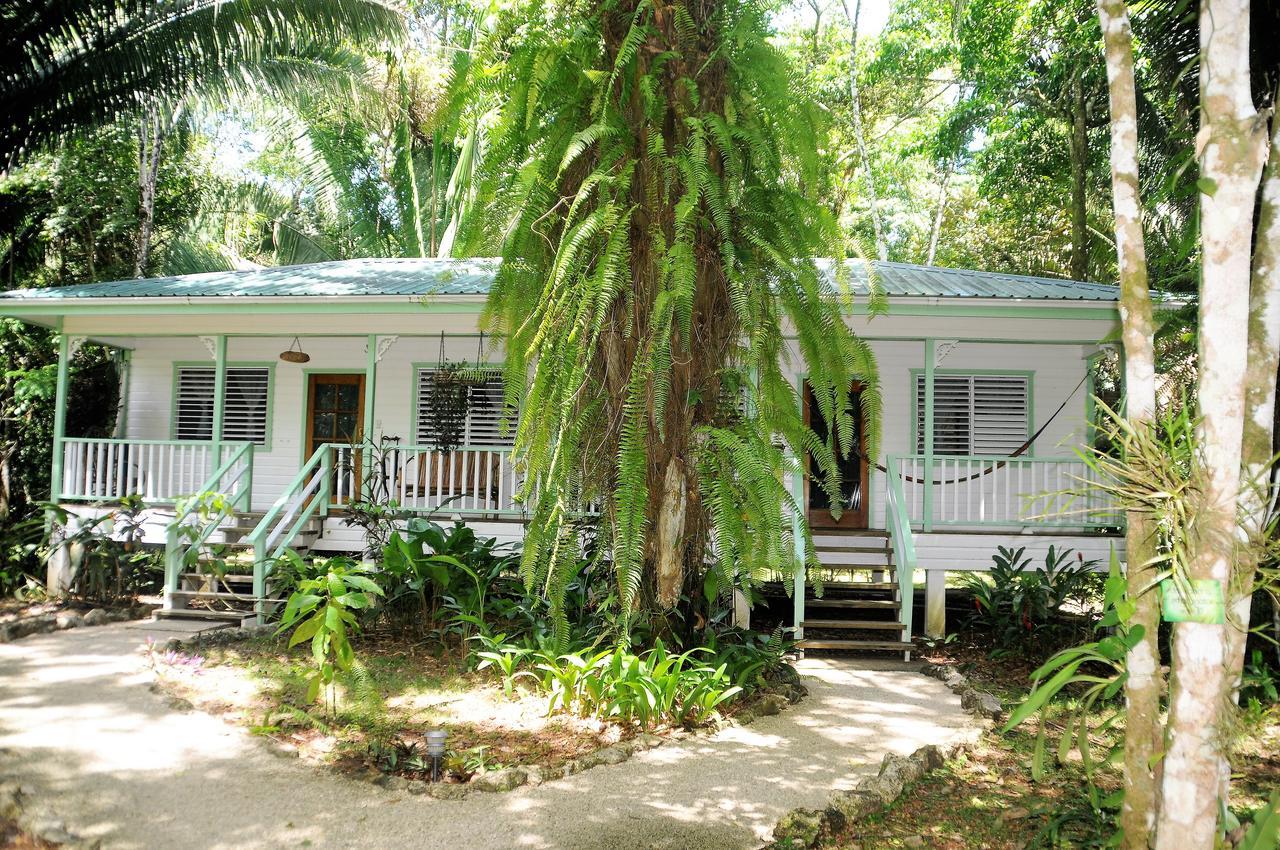Hickatee Cottages, Belize, Central America Punta Gorda Exterior photo