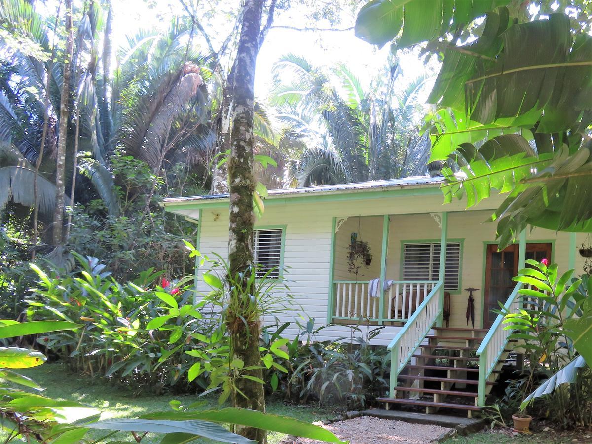 Hickatee Cottages, Belize, Central America Punta Gorda Exterior photo